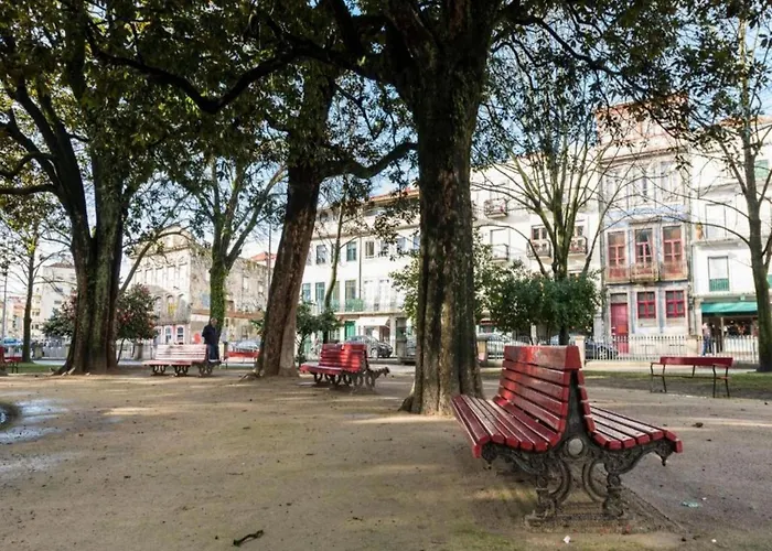 1-bedroom Beautiful In Porto